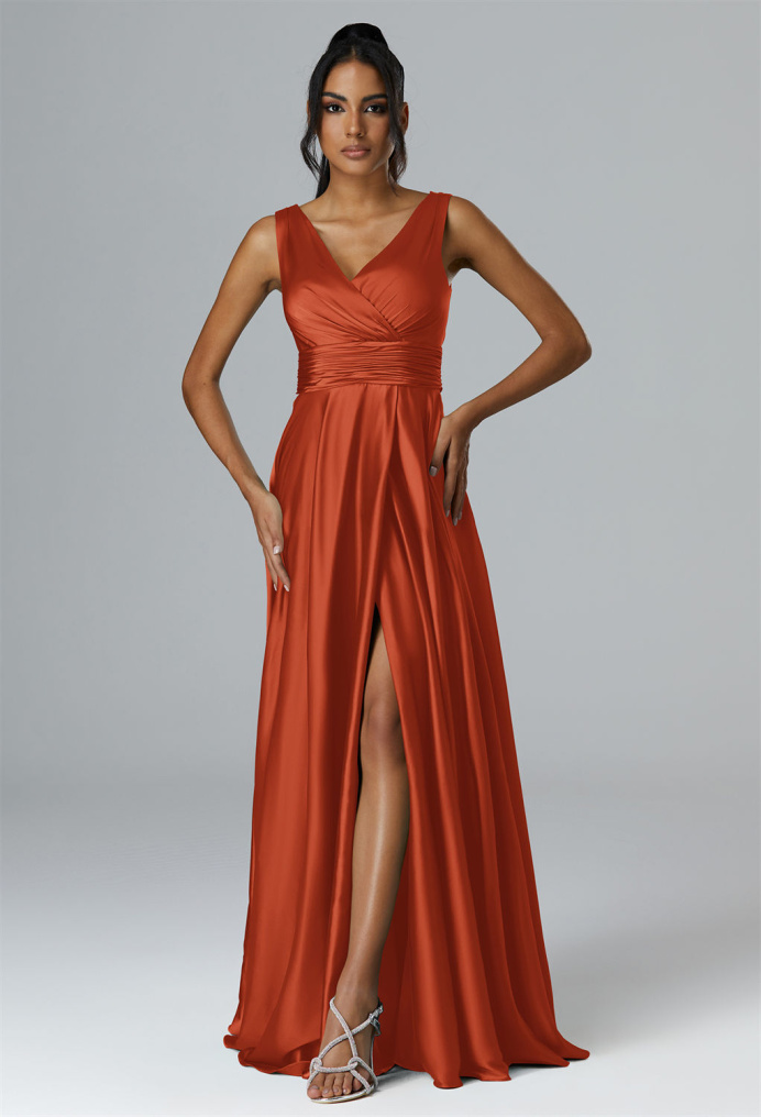AW Rajmata Dress